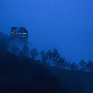 https://fragrant-nature-munnar.kerala-hotels.net